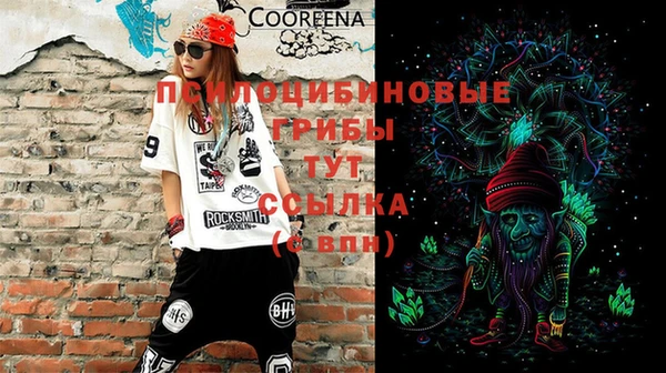 гашик Армянск