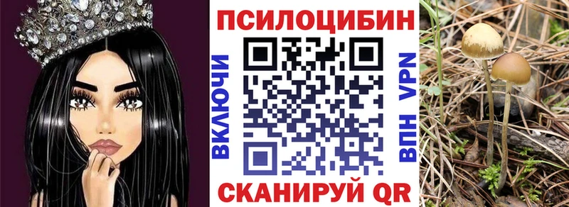 Псилоцибиновые грибы мухоморы  продажа наркотиков  гидра как зайти  Георгиевск 