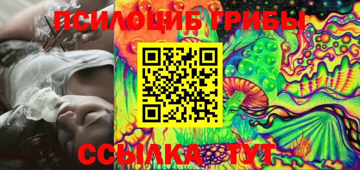 Псилоцибиновые грибы прущие грибы Георгиевск