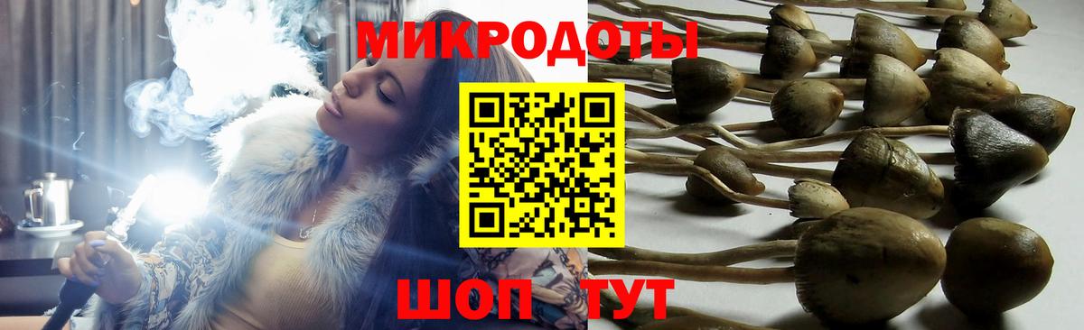 Псилоцибиновые грибы Psilocybe  Галлюциногенные грибы Psilocybe  Вход с VPN  наркошоп  Георгиевск 