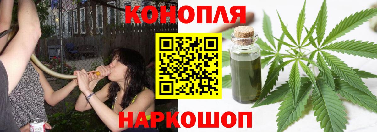 Каннабис гибрид Георгиевск